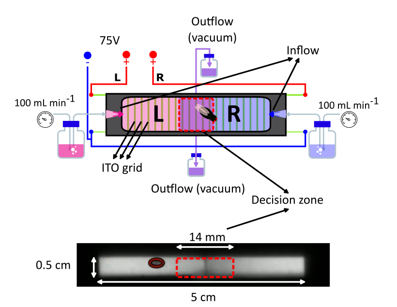 iDOC_chamber_sketch.png